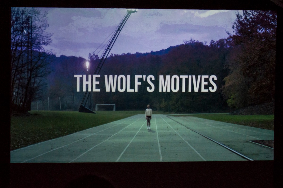 Carles Congost - "The wolf's motives"_Bianyal 2018 (foto Andrea Bolcato)
